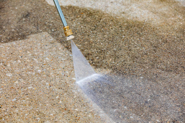 Trusted Ponderosa Park, CO Pressure Washing Services Experts
